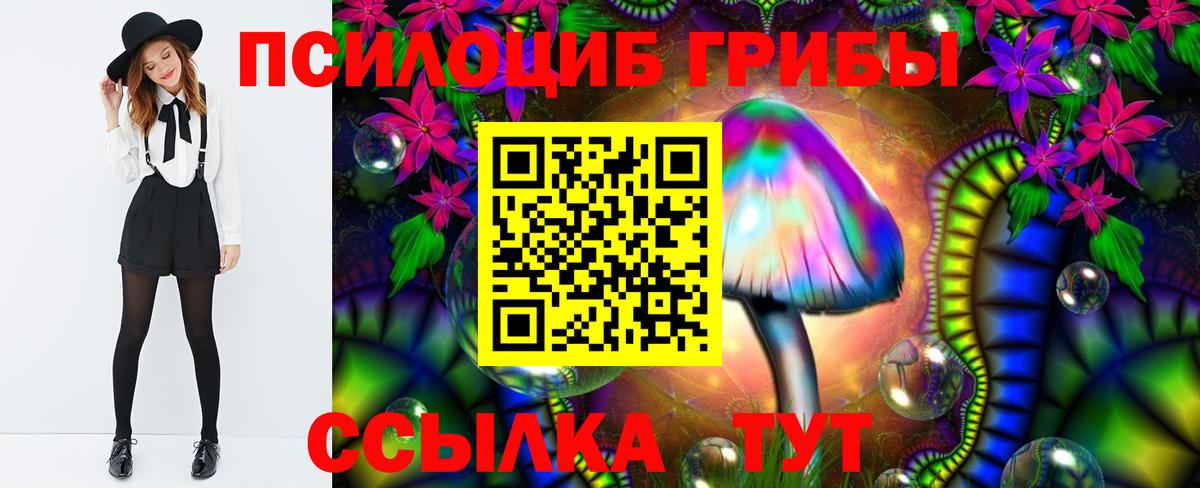 Псилоцибиновые грибы мицелий Лобня